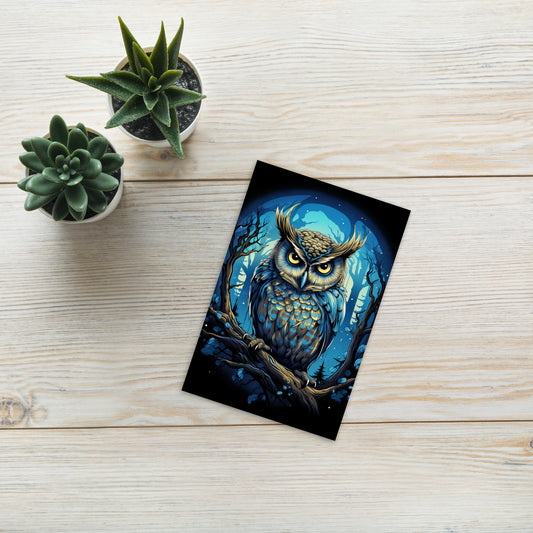Owl "Midnight Blue" Standard Postcard